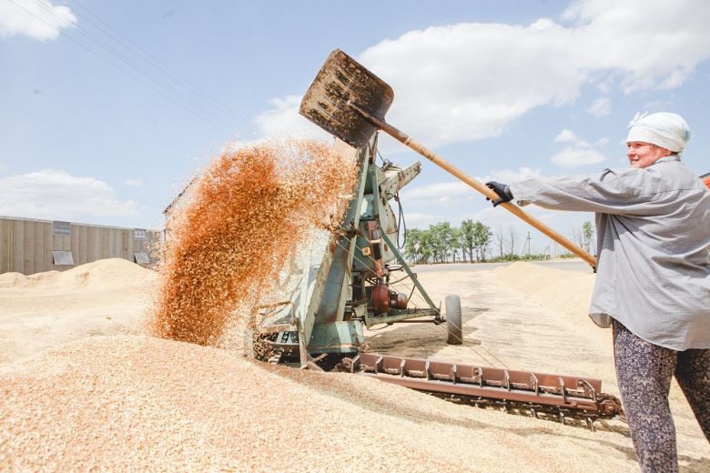 Уборка зерновых в Ростовской области прошла экватор 